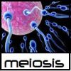 meiosis